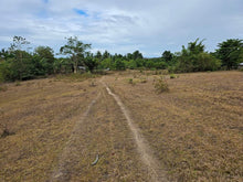 Load image into Gallery viewer, Lot For Sale In Sikatuna Talibon Bohol 25 Hectares Propertyph.net