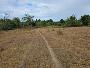 Lot For Sale In Sikatuna Talibon Bohol 25 Hectares Propertyph.net