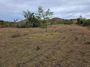 Lot For Sale In Sikatuna Talibon Bohol 25 Hectares Propertyph.net