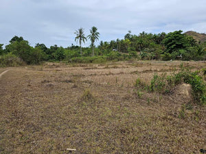 Lot For Sale In Sikatuna Talibon Bohol 25 Hectares Propertyph.net