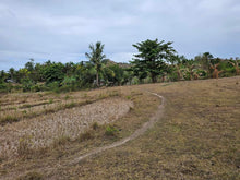 Load image into Gallery viewer, Lot For Sale In Sikatuna Talibon Bohol 25 Hectares Propertyph.net