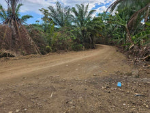 Load image into Gallery viewer, 25 Hectares Overlooking Seaview Lot For Sale In Rizal Talibon Bohol Propertyph.net