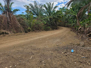 25 Hectares Overlooking Seaview Lot For Sale In Rizal Talibon Bohol Propertyph.net