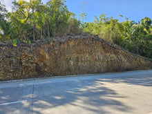 Load image into Gallery viewer, Highway Lot For Sale In Corella Bohol 2,219 Sqm Propertyph.net