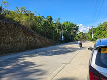 Load image into Gallery viewer, Highway Lot For Sale In Corella Bohol 2,219 Sqm Propertyph.net