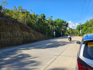 Highway Lot For Sale In Corella Bohol 2,219 Sqm Propertyph.net