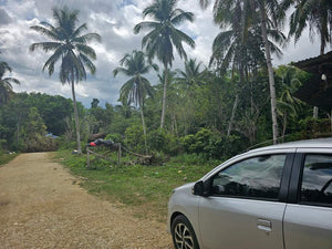 Lot For Sale In Corella Bohol 8,163 Sqm Titled Lot Propertyph.net