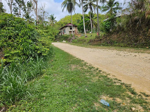 Lot For Sale In Corella Bohol 8,163 Sqm Titled Lot Propertyph.net