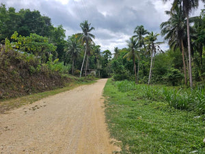 Lot For Sale In Corella Bohol 8,163 Sqm Titled Lot Propertyph.net