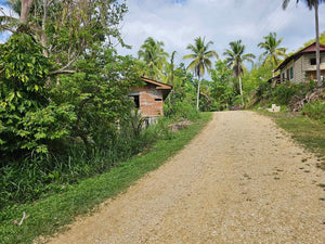 Lot For Sale In Corella Bohol 8,163 Sqm Titled Lot Propertyph.net