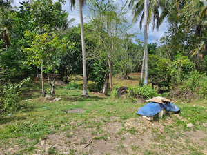 Lot For Sale In Corella Bohol 8,163 Sqm Titled Lot Propertyph.net