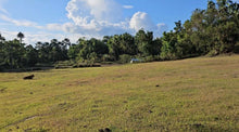 Load image into Gallery viewer, Lot For Sale In Sikatuna Bohol Near Tourist Spot 39,000 Sqm Propertyph.net