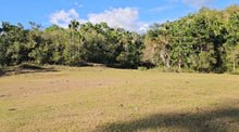 Load image into Gallery viewer, Lot For Sale In Sikatuna Bohol Near Tourist Spot 39,000 Sqm Propertyph.net