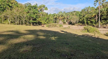 Load image into Gallery viewer, Lot For Sale In Sikatuna Bohol Near Tourist Spot 39,000 Sqm Propertyph.net