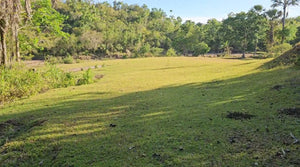 Lot For Sale In Sikatuna Bohol Near Tourist Spot 39,000 Sqm Propertyph.net