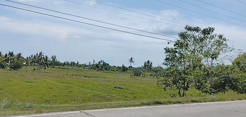 Lot for sale 148 hectares consolidated Getafe Bohol 500/sqm