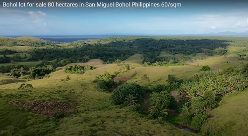 Bohol lot for sale 80 hectares ideal for camp site/resort San Miguel Bohol Philippines