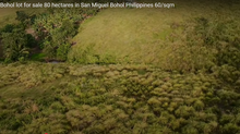 Load image into Gallery viewer, Bohol lot for sale 80 hectares ideal for camp site/resort San Miguel Bohol Philippines