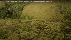 Bohol lot for sale 80 hectares ideal for camp site/resort San Miguel Bohol Philippines