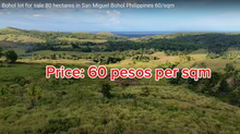 Load image into Gallery viewer, Bohol lot for sale 80 hectares ideal for camp site/resort San Miguel Bohol Philippines