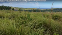 Load image into Gallery viewer, Bohol lot for sale 80 hectares ideal for camp site/resort San Miguel Bohol Philippines