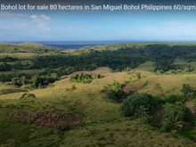 Load image into Gallery viewer, Bohol lot for sale 80 hectares ideal for camp site/resort San Miguel Bohol Philippines
