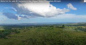 Bohol lot for sale 80 hectares ideal for camp site/resort San Miguel Bohol Philippines