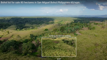 Load image into Gallery viewer, Bohol lot for sale 80 hectares ideal for camp site/resort San Miguel Bohol Philippines