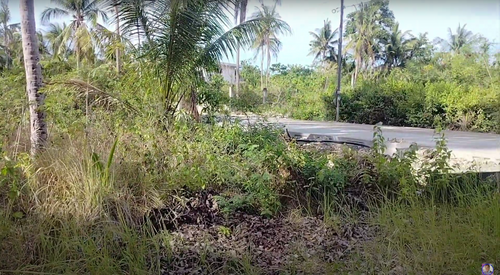 Lot For Sale Anda Bohol 1,450 Sqm Propertyph