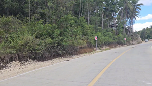 Overlooking Lot For Sale In Corellia Bohol 4,601 Sqm Propertyph.net