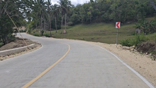 Load image into Gallery viewer, Overlooking Lot For Sale In Corellia Bohol 4,601 Sqm Propertyph.net