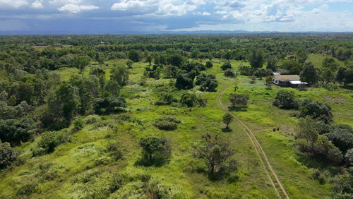 📍 FOR SALE: 30-Hectare Lot in Tuburan, Ubay, Bohol - Expandable