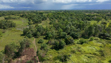 Load image into Gallery viewer, 📍 FOR SALE: 30-Hectare Lot in Tuburan, Ubay, Bohol - Expandable