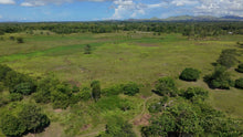 Load image into Gallery viewer, 📍 FOR SALE: 30-Hectare Lot in Tuburan, Ubay, Bohol - Expandable