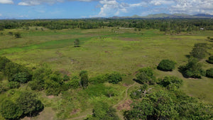 📍 FOR SALE: 30-Hectare Lot in Tuburan, Ubay, Bohol - Expandable