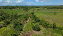 Load image into Gallery viewer, 📍 FOR SALE: 30-Hectare Lot in Tuburan, Ubay, Bohol - Expandable