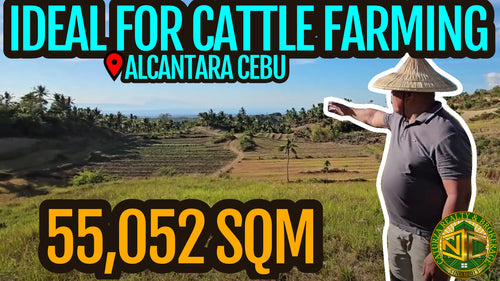 Lot For Sale In Alcantara Cebu 55,052 Sqm Propertyph.net