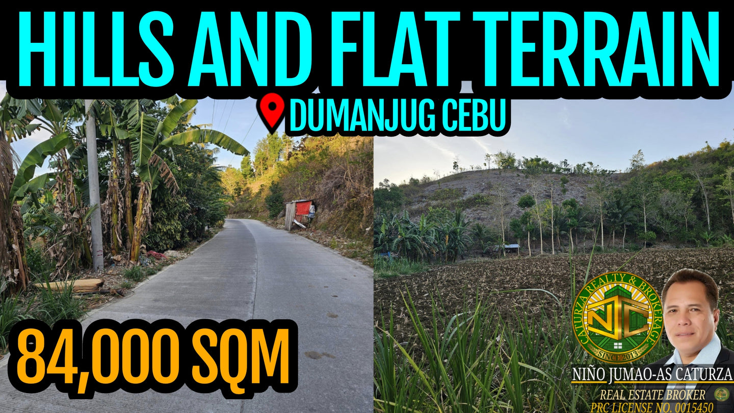 Lot For Sale In Dumanjug Cebu 84,000 Sqm Propertyph.net