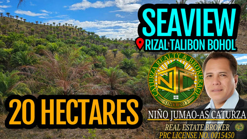 25 Hectares Overlooking Seaview Lot For Sale In Rizal Talibon Bohol Propertyph.net
