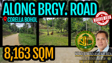 Load image into Gallery viewer, Lot For Sale In Corella Bohol 8,163 Sqm Titled Lot Propertyph.net