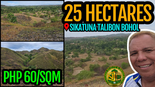 Lot For Sale In Sikatuna Talibon Bohol 25 Hectares Propertyph.net