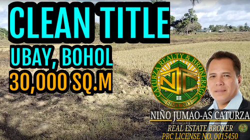 Lot For Sale Ubay Bohol Philippines 30,000 Sqm Propertyph