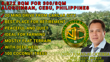 Load image into Gallery viewer, Lot For Sale 8,572 sqm for 300/sqm With Clean Title Rosario, Aloguinsan, Cebu, Philippines