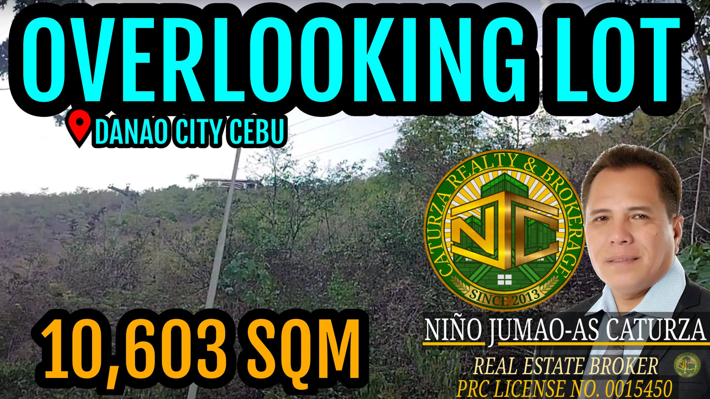 Overlooking Lot For Sale Danao City Cebu 10,603 Sqm Propertyph