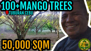 Lot For Sale Tuburan Cebu 50,000 Sqm Propertyph