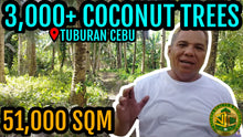 Load image into Gallery viewer, Lot For Sale With 3,000+ Coconut Trees Tuburan Cebu 51,000 Sqm Propertyph.net