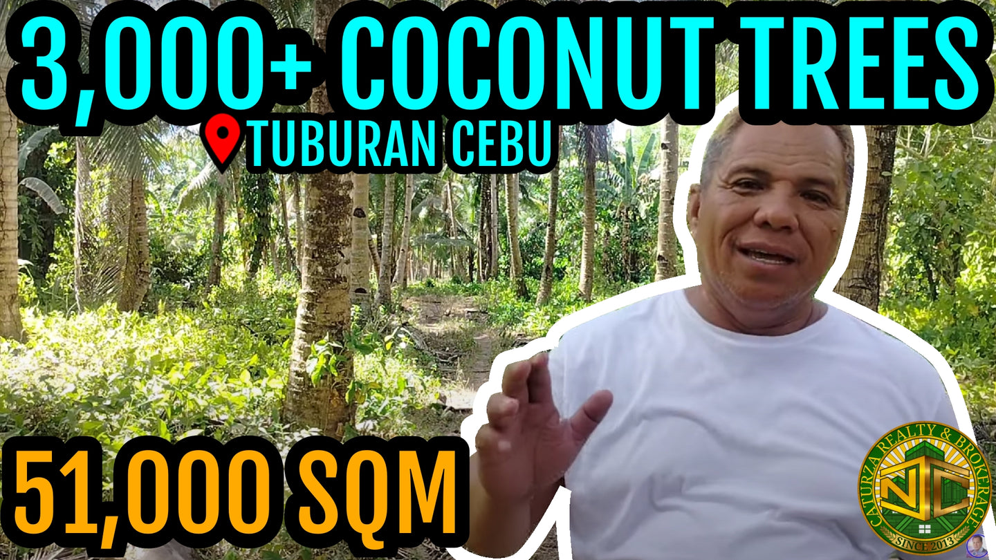 Lot For Sale With 3,000+ Coconut Trees Tuburan Cebu 51,000 Sqm Propertyph.net