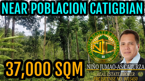 Lot For Sale Catigbian Bohol 37,000 Sqm For 50/Sqm Propertyph.net