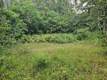 Load image into Gallery viewer, 7,243 sqm clean title for sale in Corella Bohol 500/sqm