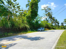 Load image into Gallery viewer, Highway lot for sale 79,000 sqm clean title Tubigon Bohol 250/sqm negotiable